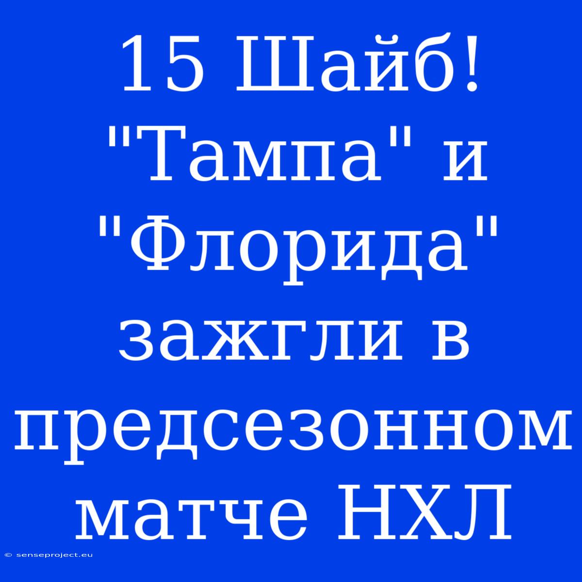 15 Шайб! 