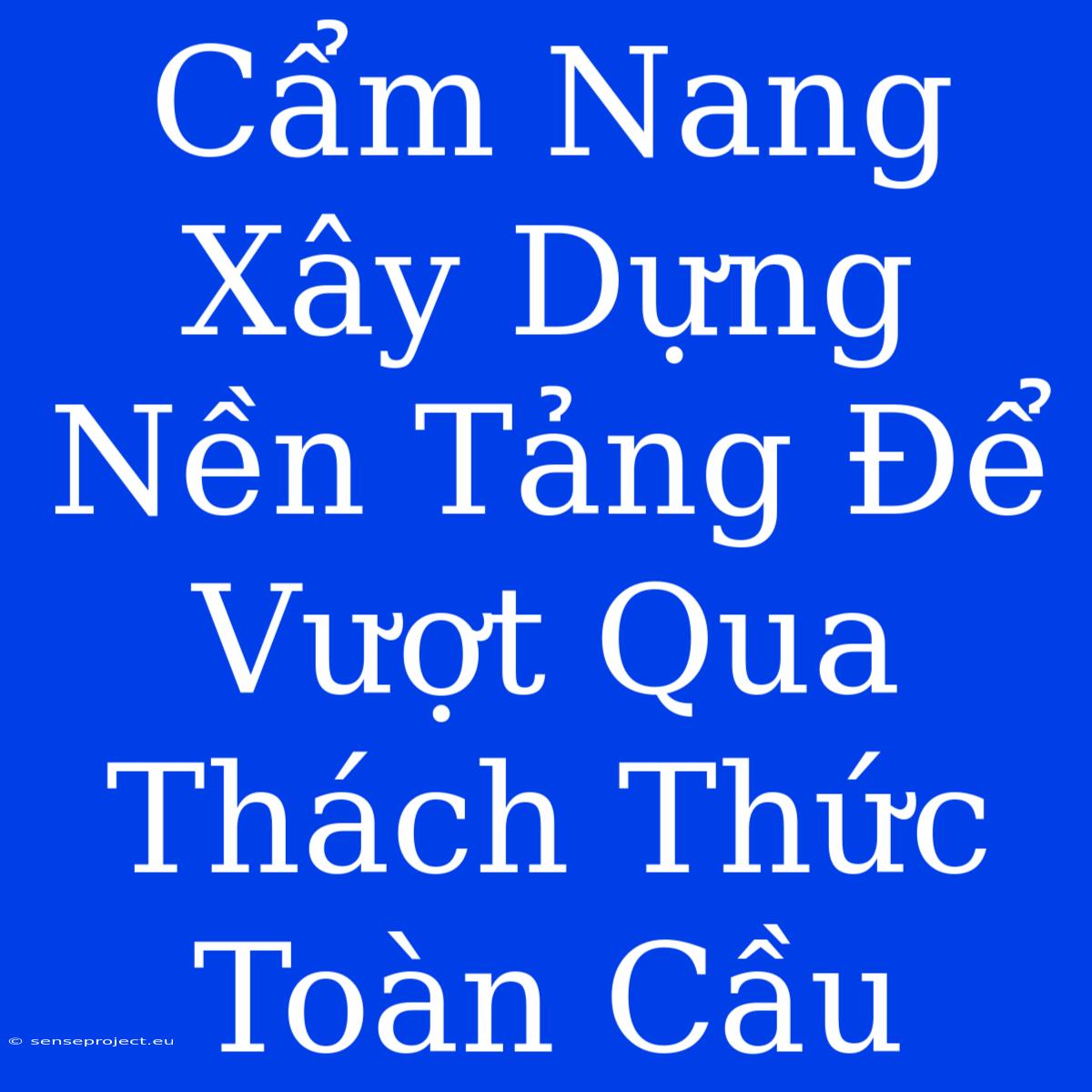 Cẩm Nang Xây Dựng Nền Tảng Để Vượt Qua Thách Thức Toàn Cầu