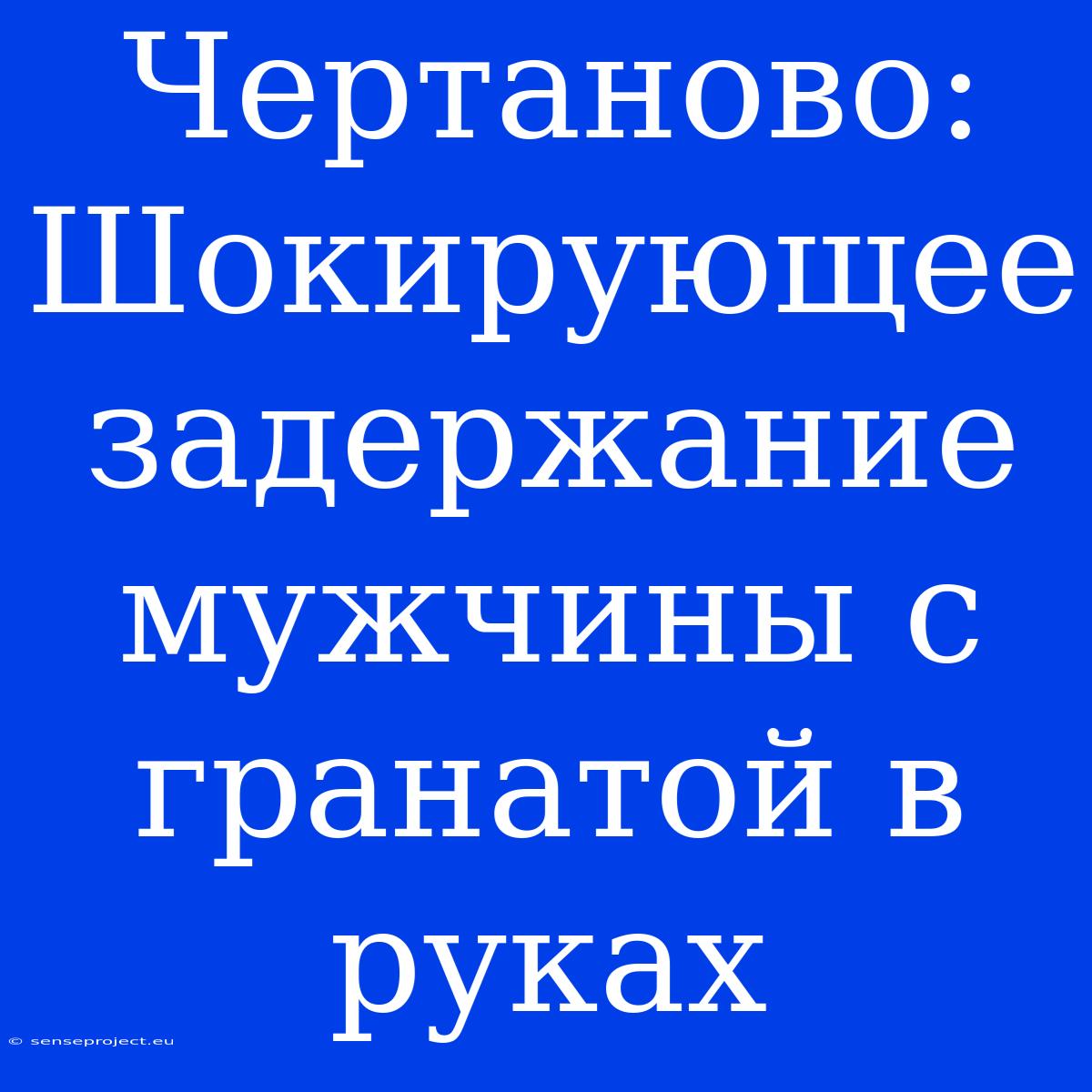 Чертаново: Шокирующее Задержание Мужчины С Гранатой В Руках