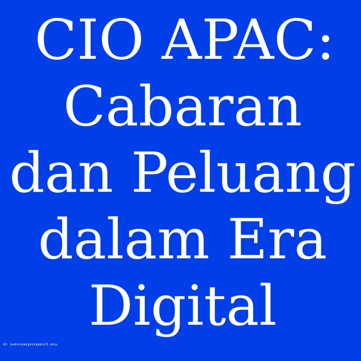 CIO APAC: Cabaran Dan Peluang Dalam Era Digital