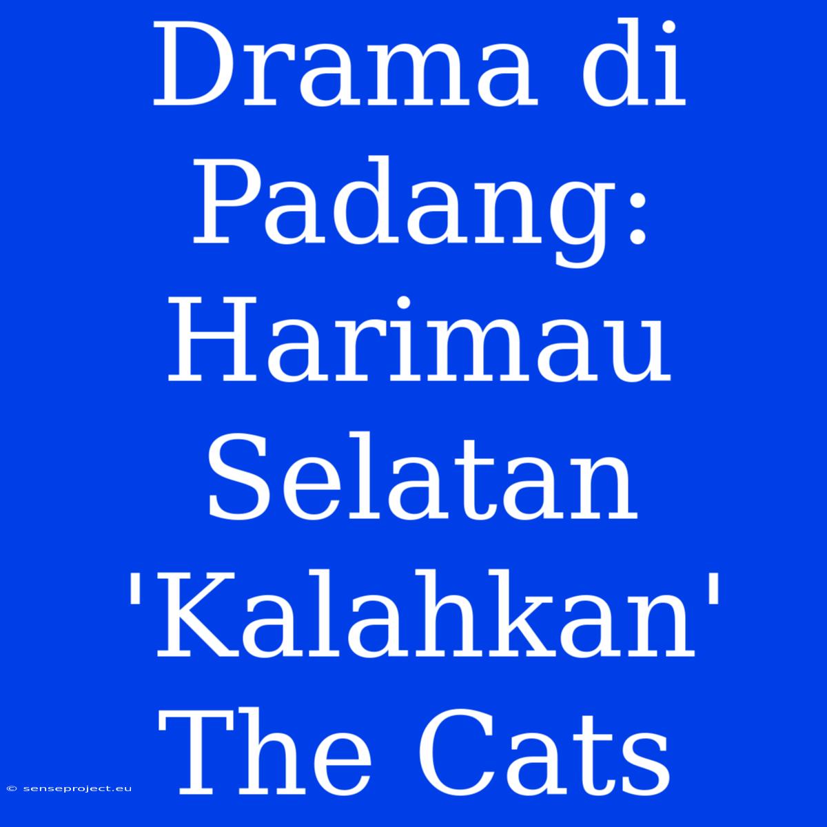 Drama Di Padang: Harimau Selatan 'Kalahkan' The Cats