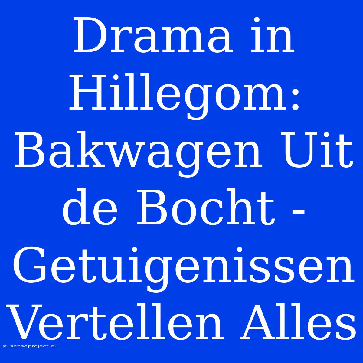 Drama In Hillegom: Bakwagen Uit De Bocht - Getuigenissen Vertellen Alles