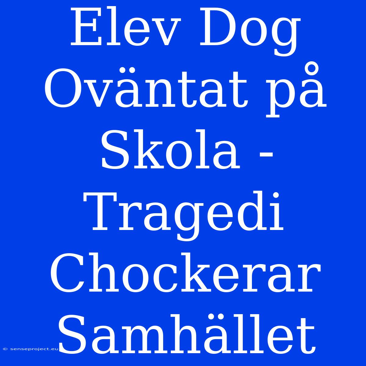 Elev Dog Oväntat På Skola - Tragedi Chockerar Samhället