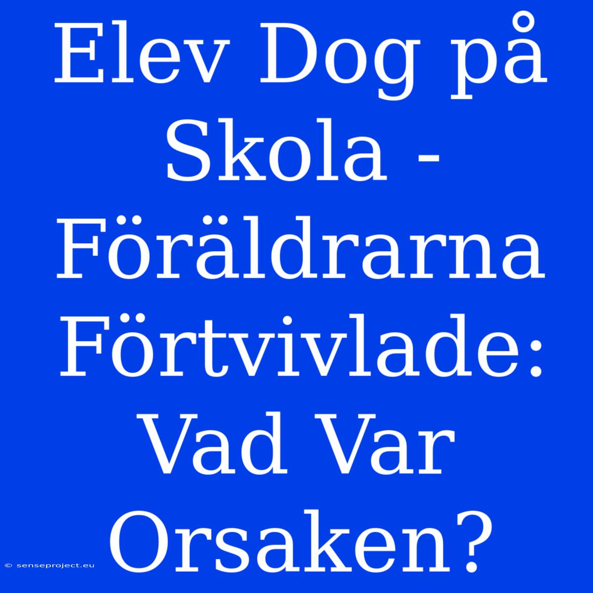 Elev Dog På Skola - Föräldrarna Förtvivlade: Vad Var Orsaken?