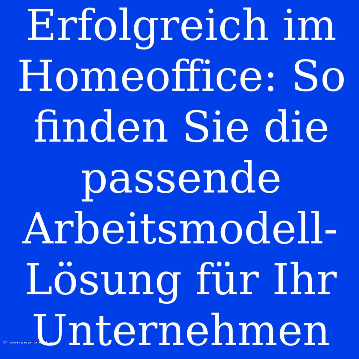 Erfolgreich Im Homeoffice: So Finden Sie Die Passende Arbeitsmodell-Lösung Für Ihr Unternehmen