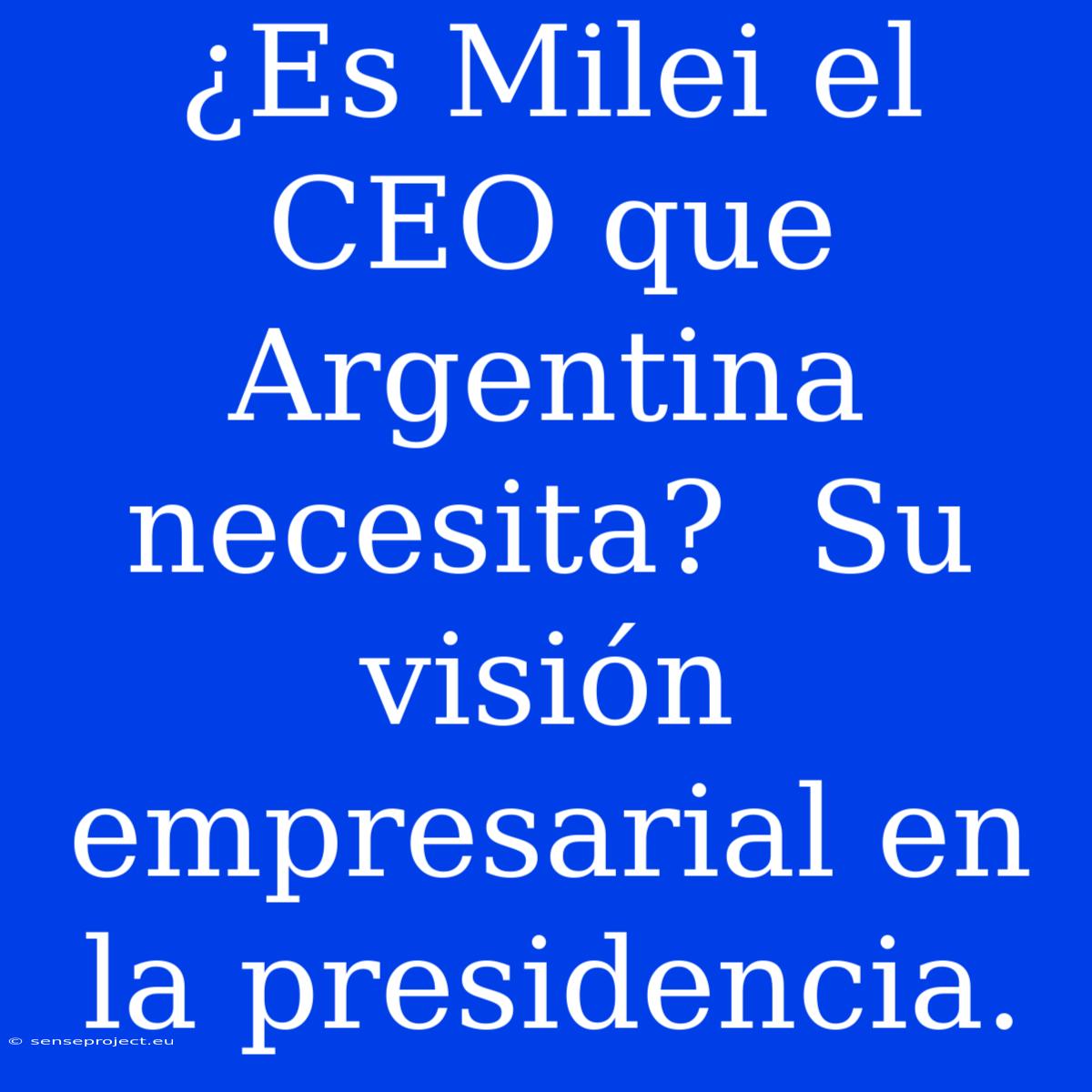 ¿Es Milei El CEO Que Argentina Necesita?  Su Visión Empresarial En La Presidencia.