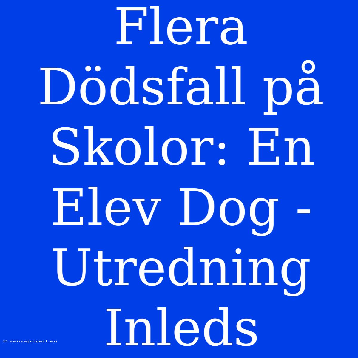 Flera Dödsfall På Skolor: En Elev Dog - Utredning Inleds