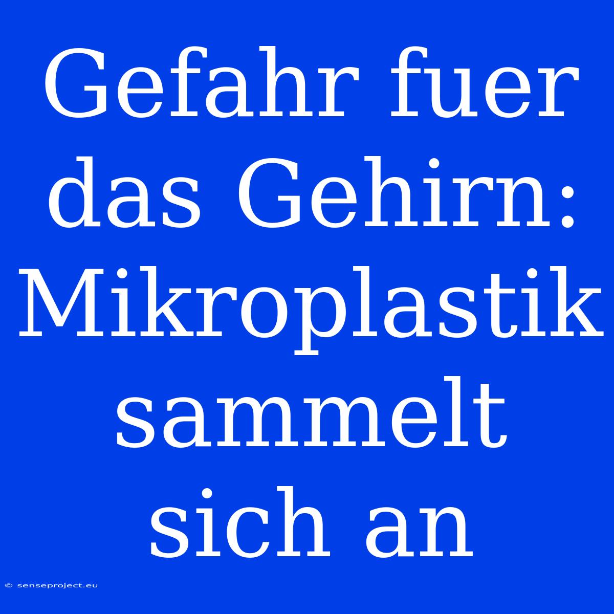 Gefahr Fuer Das Gehirn: Mikroplastik Sammelt Sich An