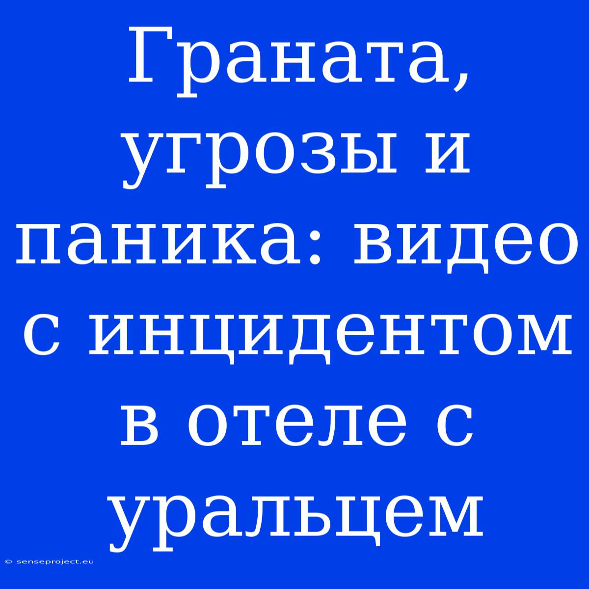 Граната, Угрозы И Паника: Видео С Инцидентом В Отеле С Уральцем