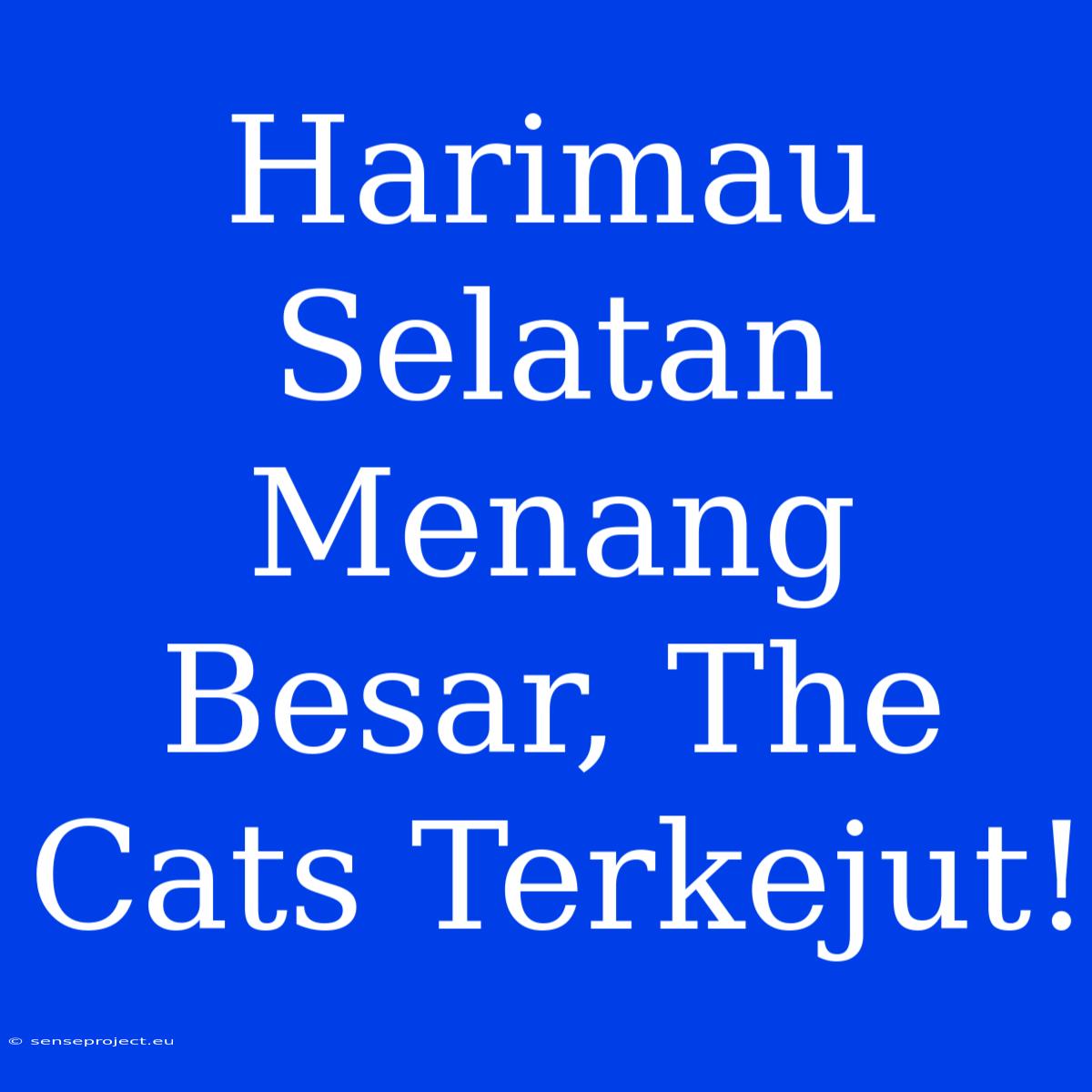 Harimau Selatan Menang Besar, The Cats Terkejut!