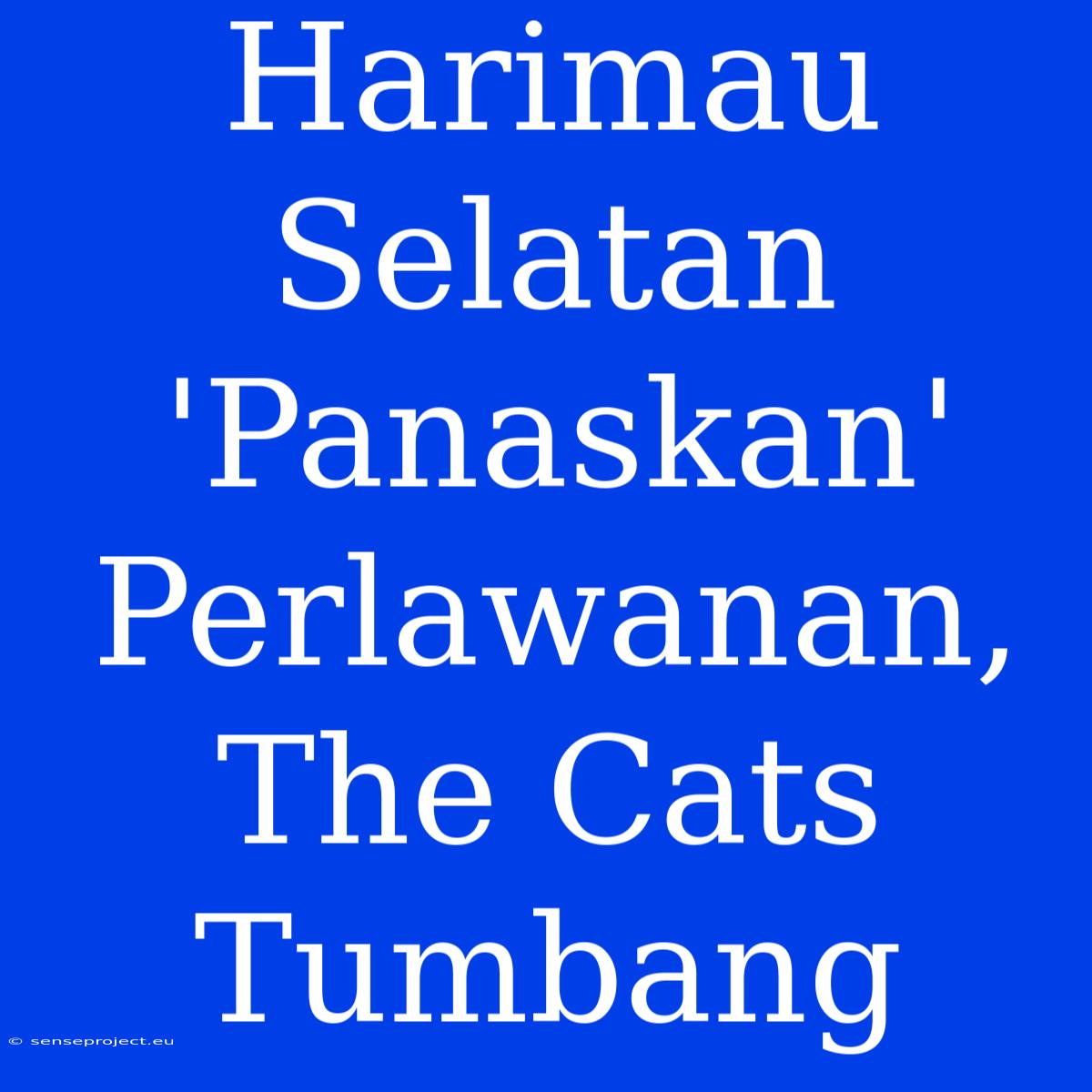 Harimau Selatan 'Panaskan' Perlawanan, The Cats Tumbang