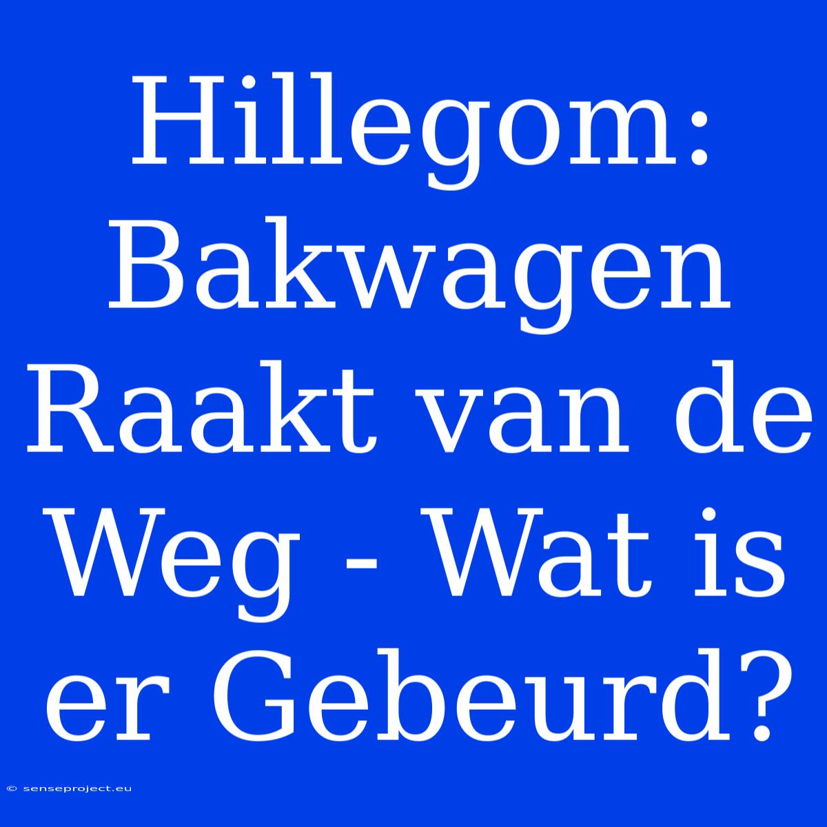 Hillegom: Bakwagen Raakt Van De Weg - Wat Is Er Gebeurd?