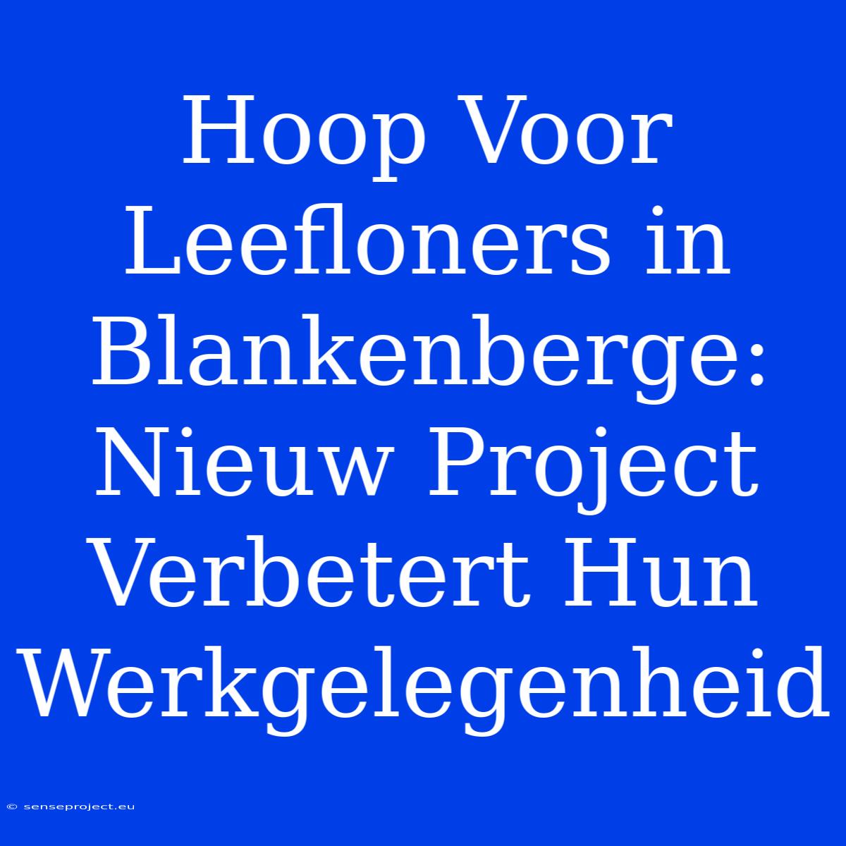 Hoop Voor Leefloners In Blankenberge: Nieuw Project Verbetert Hun Werkgelegenheid