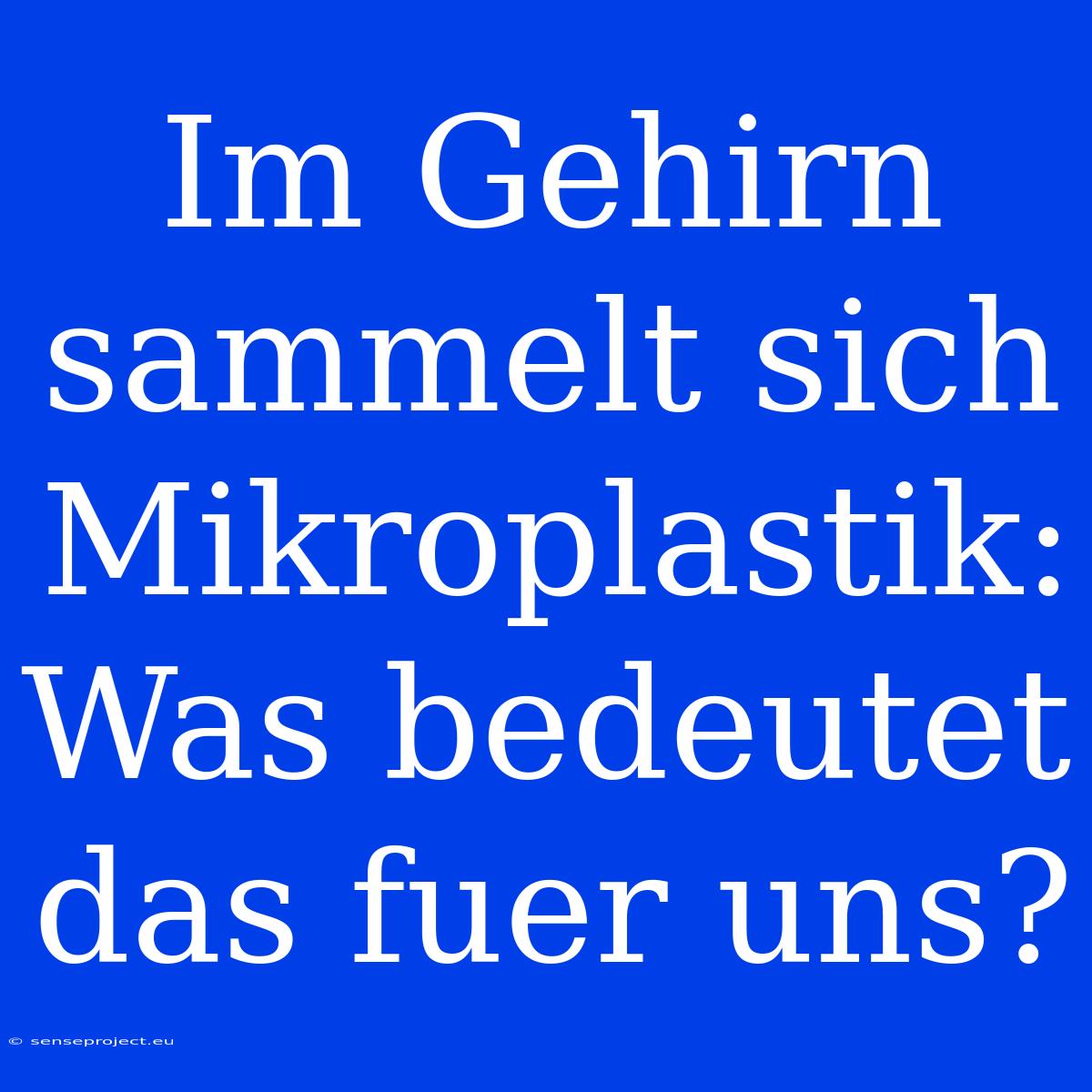 Im Gehirn Sammelt Sich Mikroplastik: Was Bedeutet Das Fuer Uns?