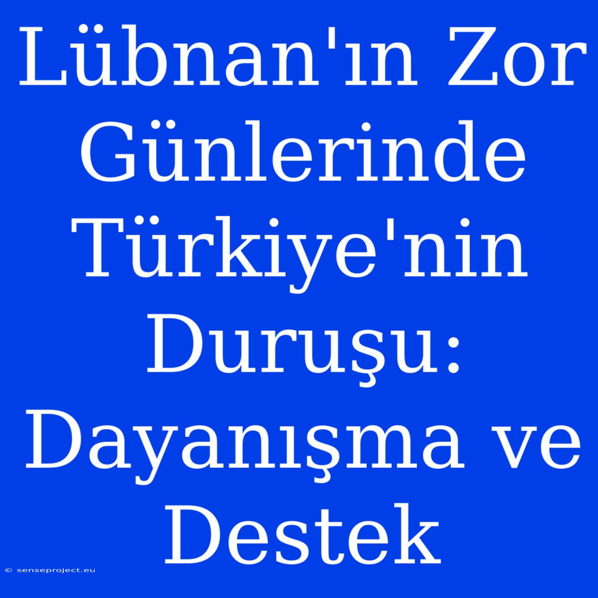 Lübnan'ın Zor Günlerinde Türkiye'nin Duruşu: Dayanışma Ve Destek