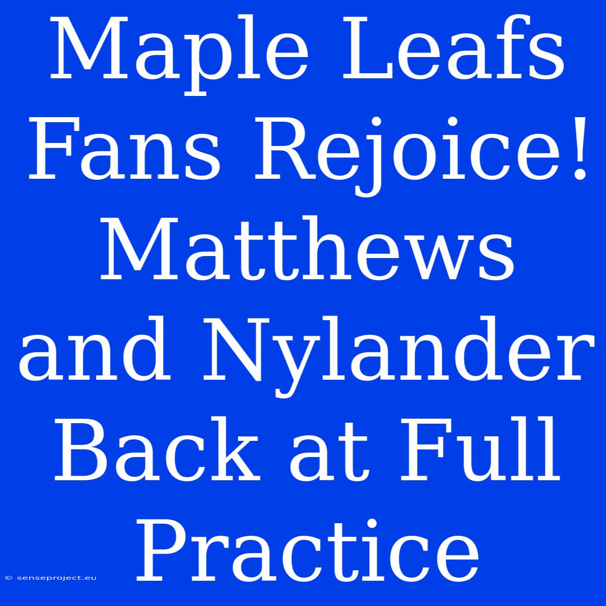 Maple Leafs Fans Rejoice! Matthews And Nylander Back At Full Practice