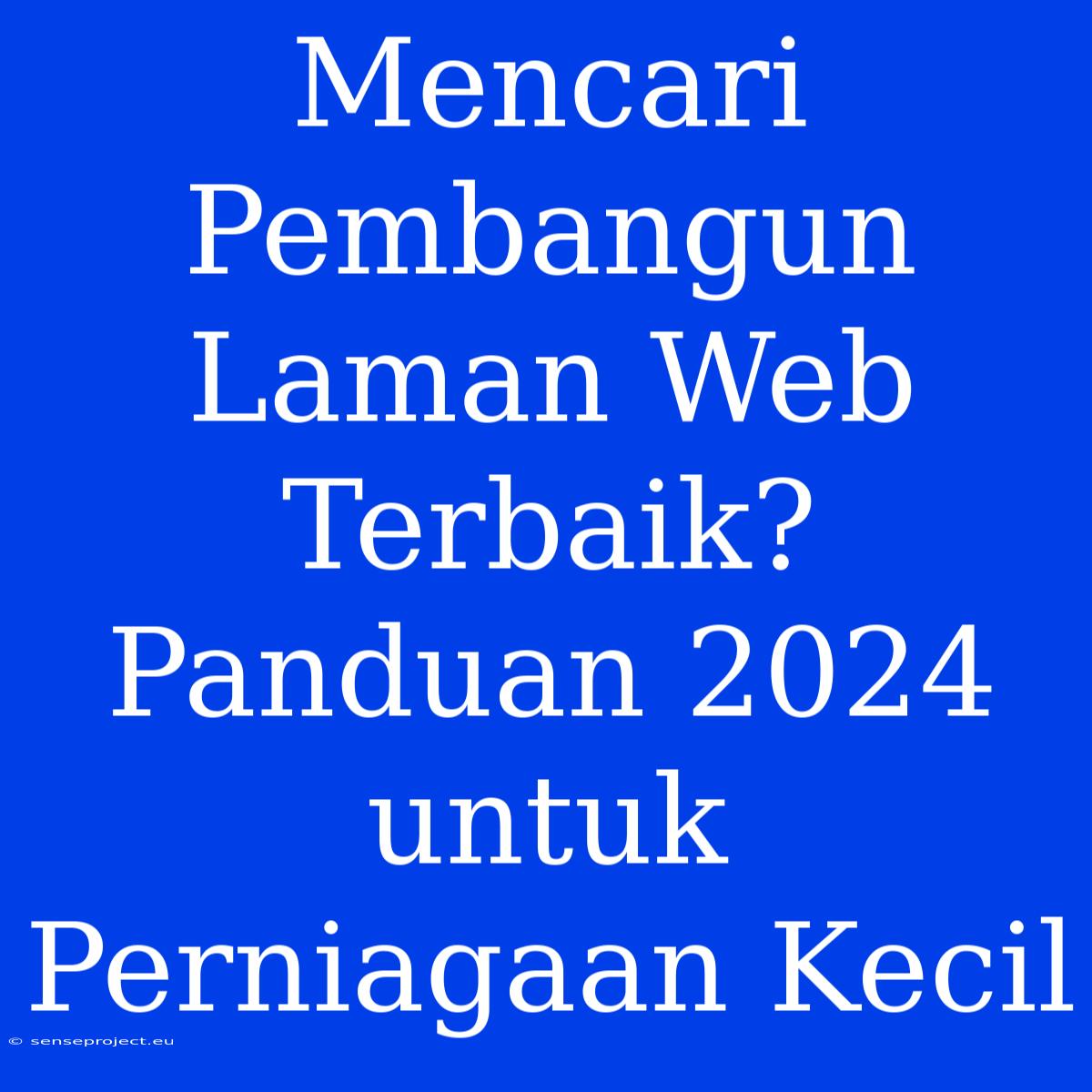 Mencari Pembangun Laman Web Terbaik? Panduan 2024 Untuk Perniagaan Kecil