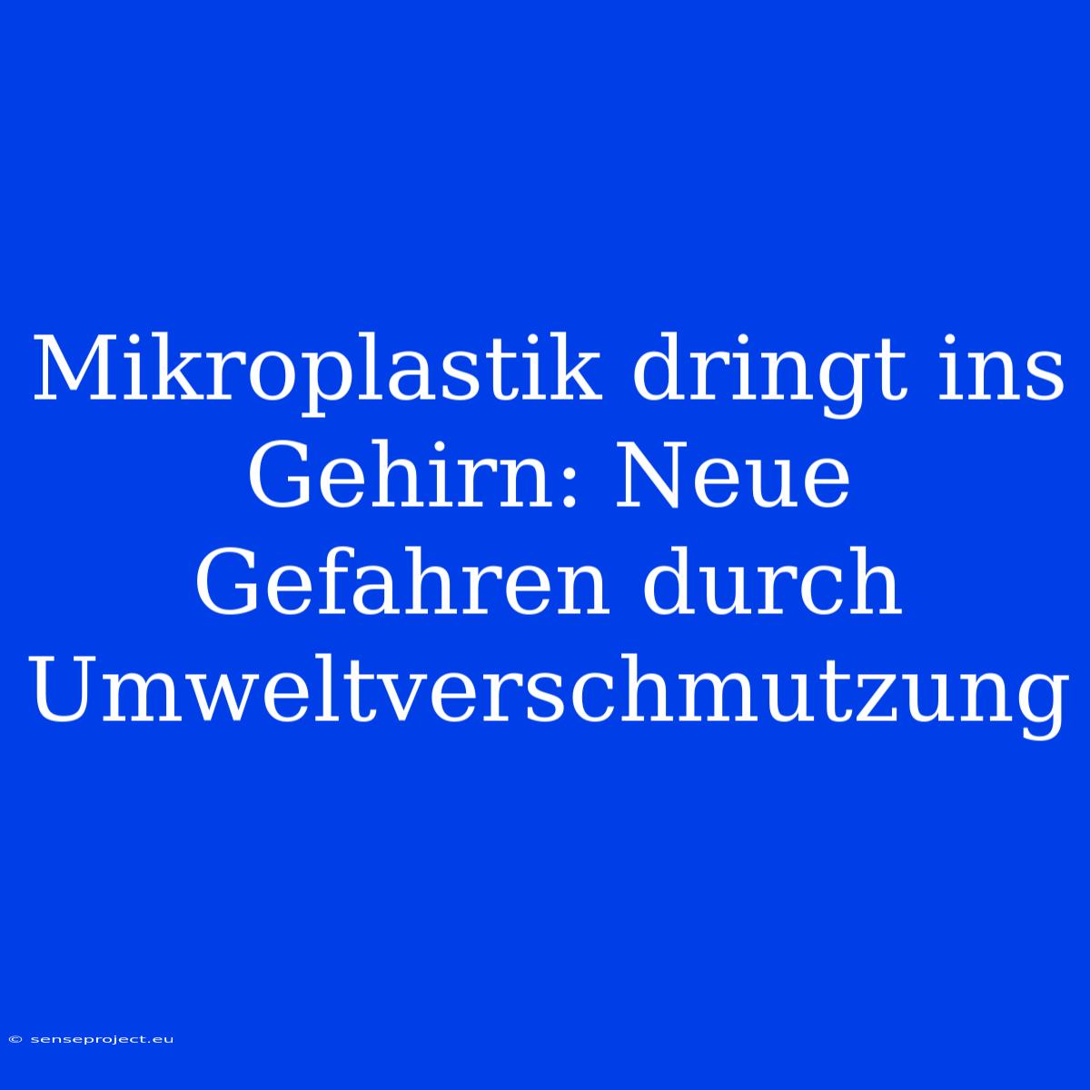 Mikroplastik Dringt Ins Gehirn: Neue Gefahren Durch Umweltverschmutzung