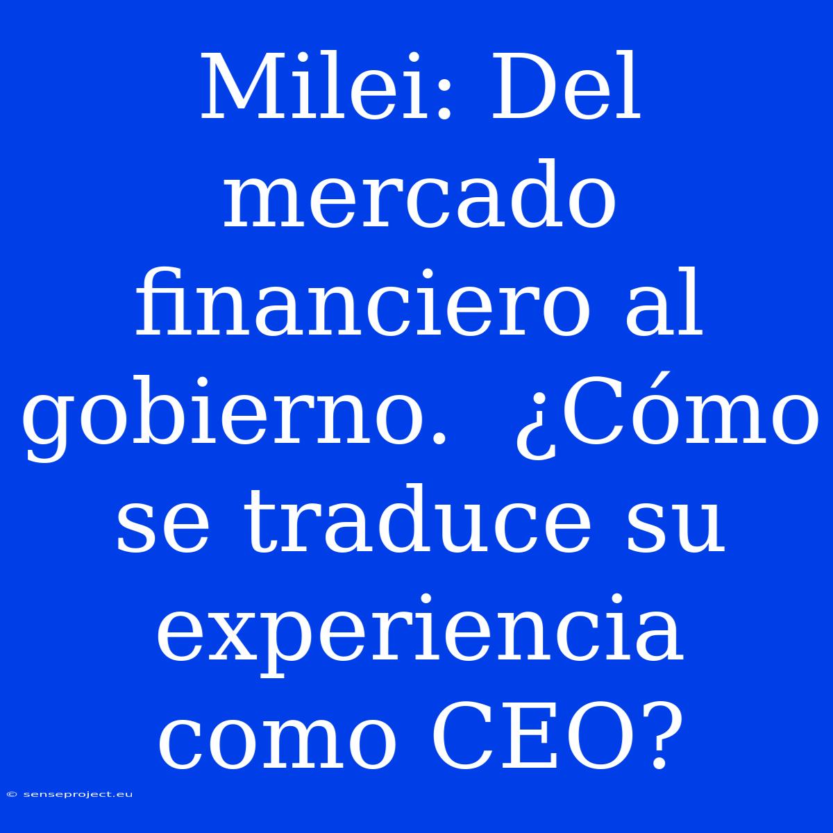 Milei: Del Mercado Financiero Al Gobierno.  ¿Cómo Se Traduce Su Experiencia Como CEO?