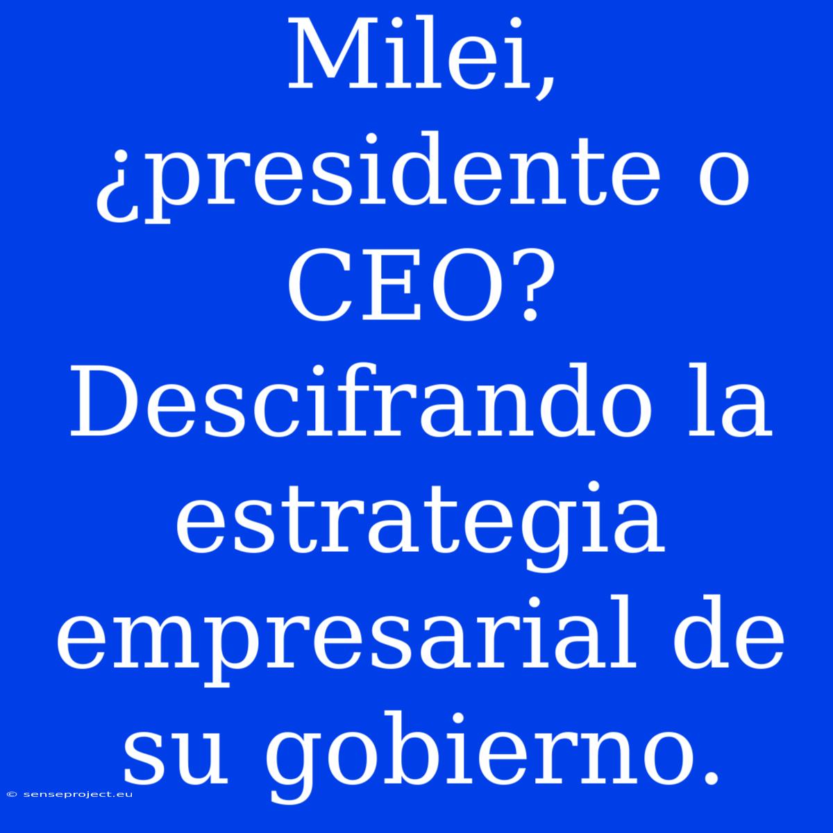 Milei, ¿presidente O CEO? Descifrando La Estrategia Empresarial De Su Gobierno.