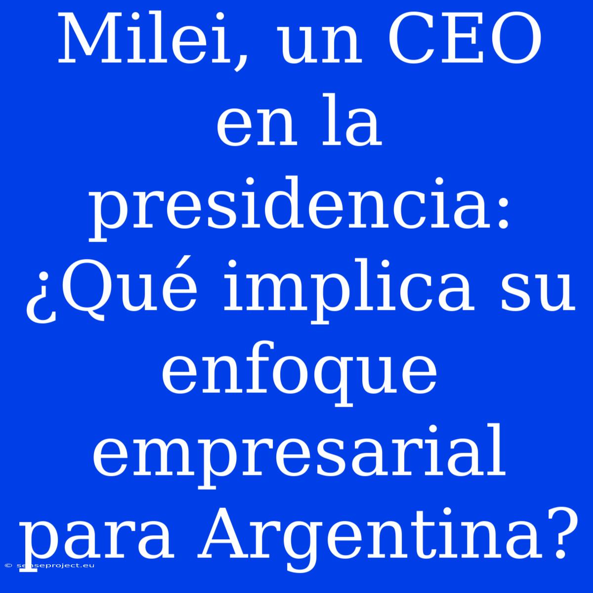 Milei, Un CEO En La Presidencia:  ¿Qué Implica Su Enfoque Empresarial Para Argentina?