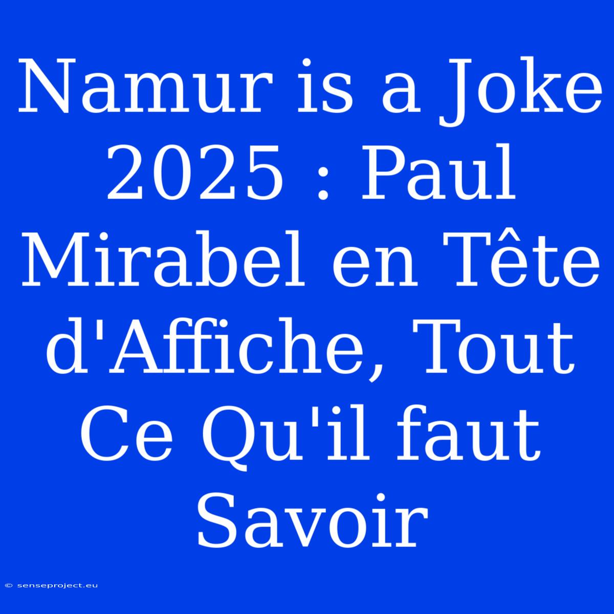 Namur Is A Joke 2025 : Paul Mirabel En Tête D'Affiche, Tout Ce Qu'il Faut Savoir