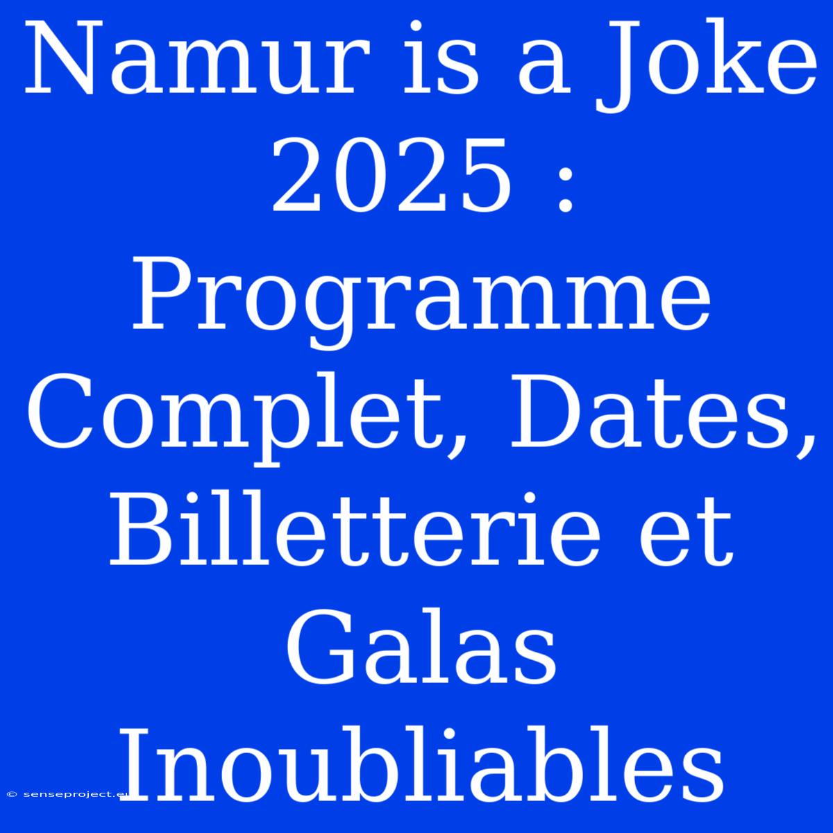 Namur Is A Joke 2025 : Programme Complet, Dates, Billetterie Et Galas Inoubliables