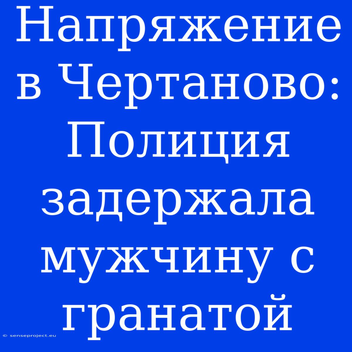 Напряжение В Чертаново: Полиция Задержала Мужчину С Гранатой