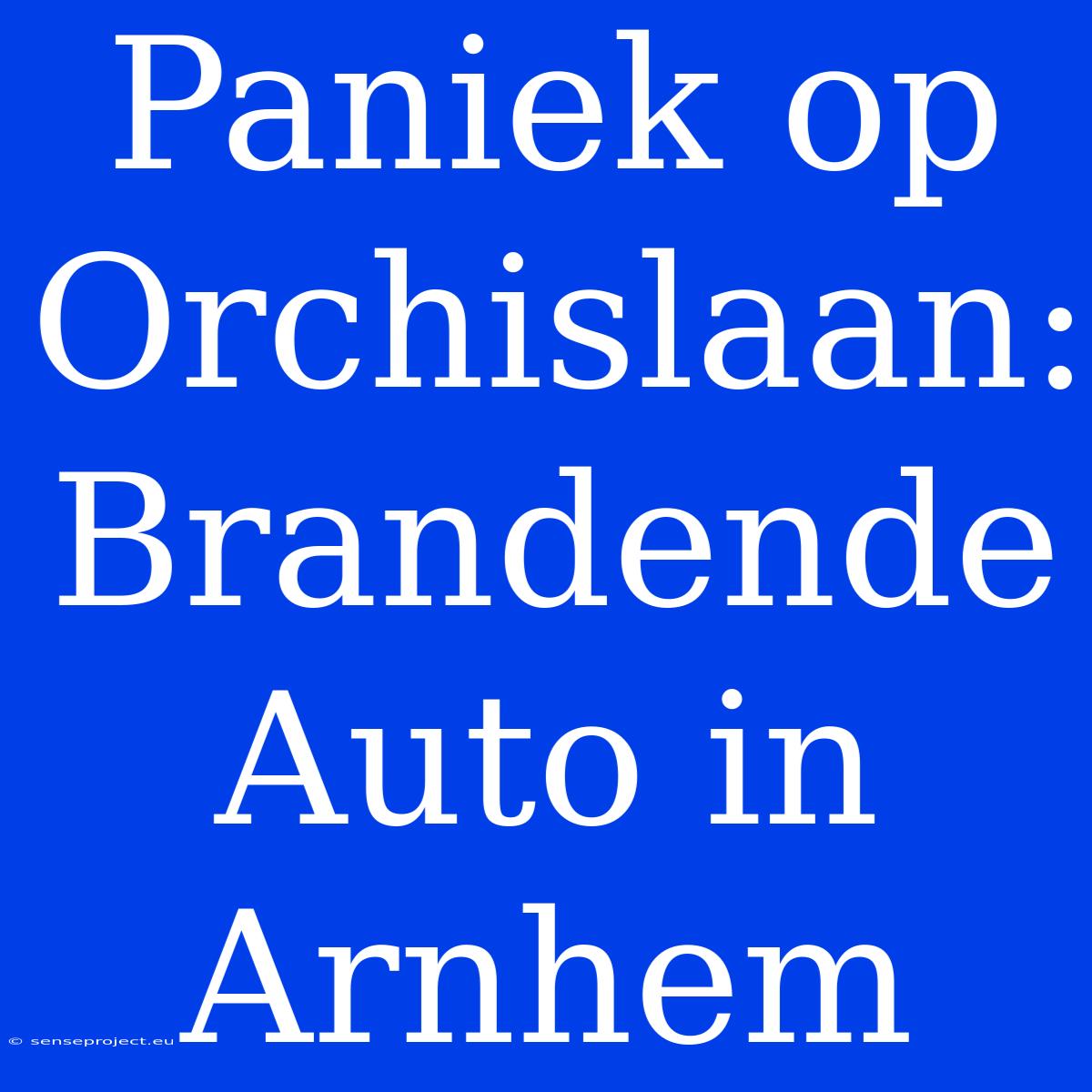 Paniek Op Orchislaan: Brandende Auto In Arnhem