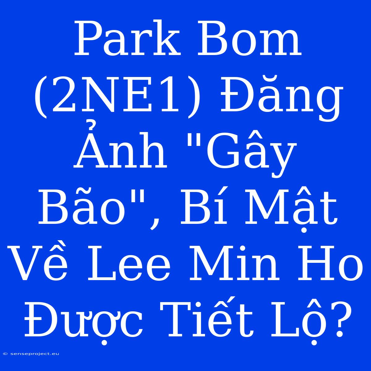 Park Bom (2NE1) Đăng Ảnh 