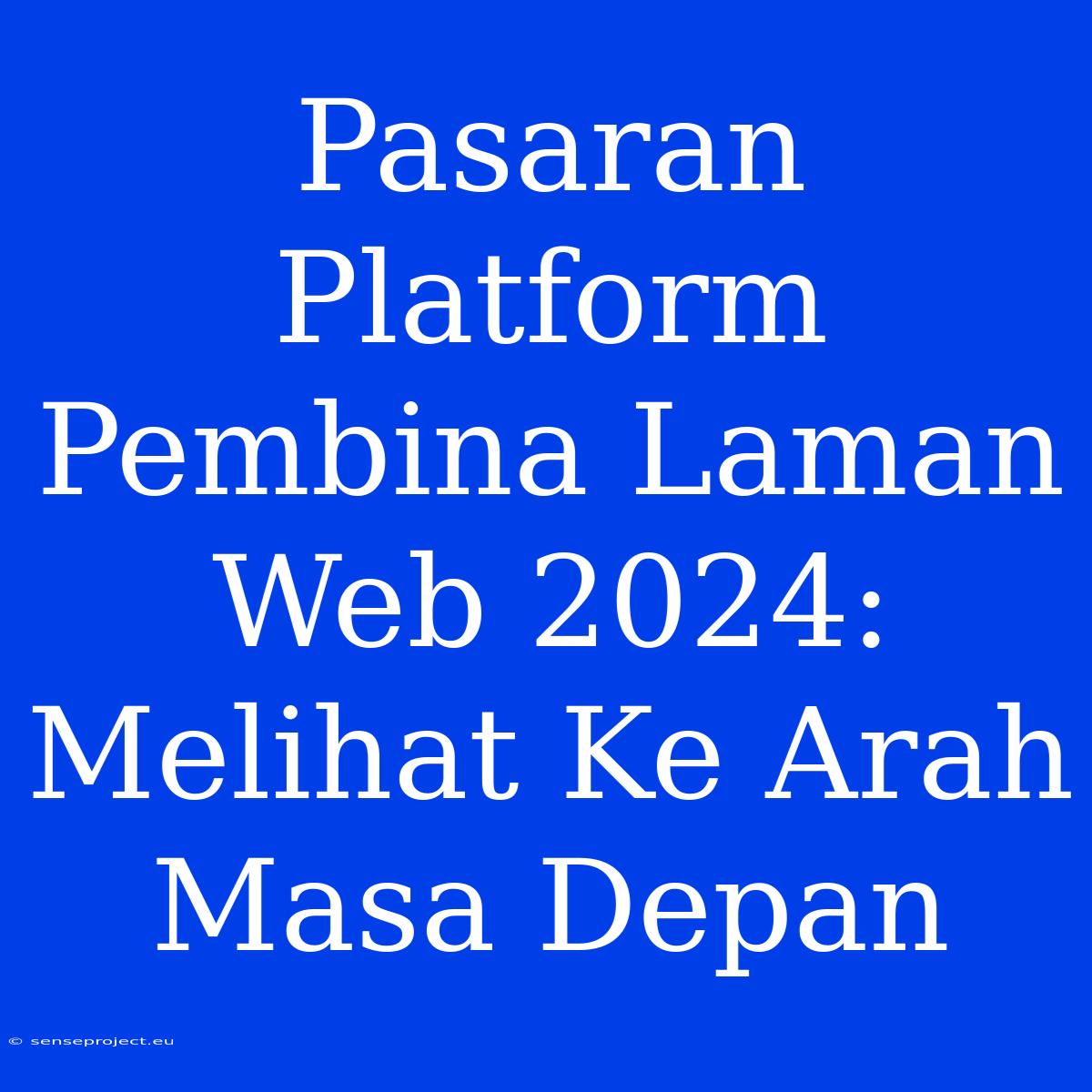 Pasaran Platform Pembina Laman Web 2024: Melihat Ke Arah Masa Depan