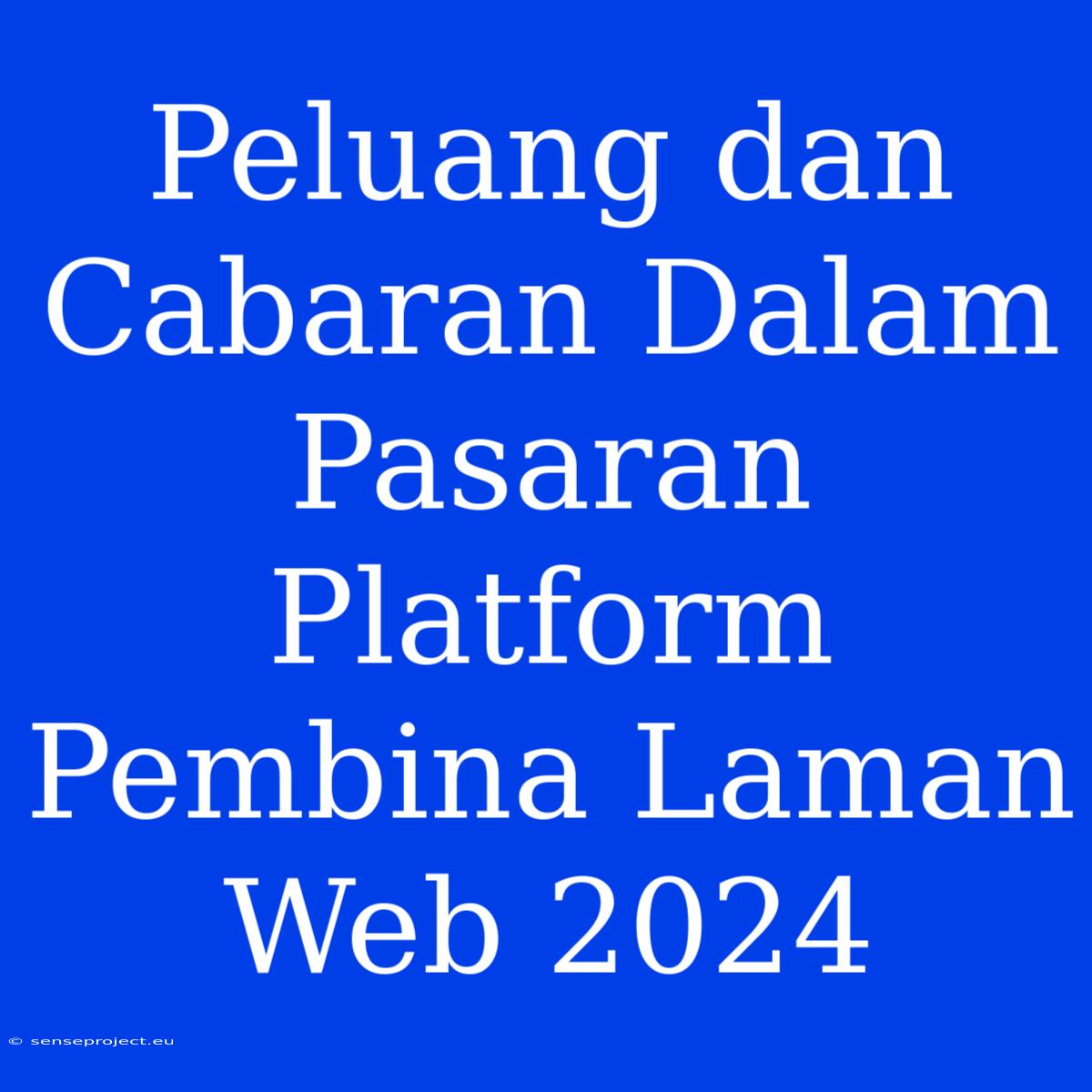 Peluang Dan Cabaran Dalam Pasaran Platform Pembina Laman Web 2024