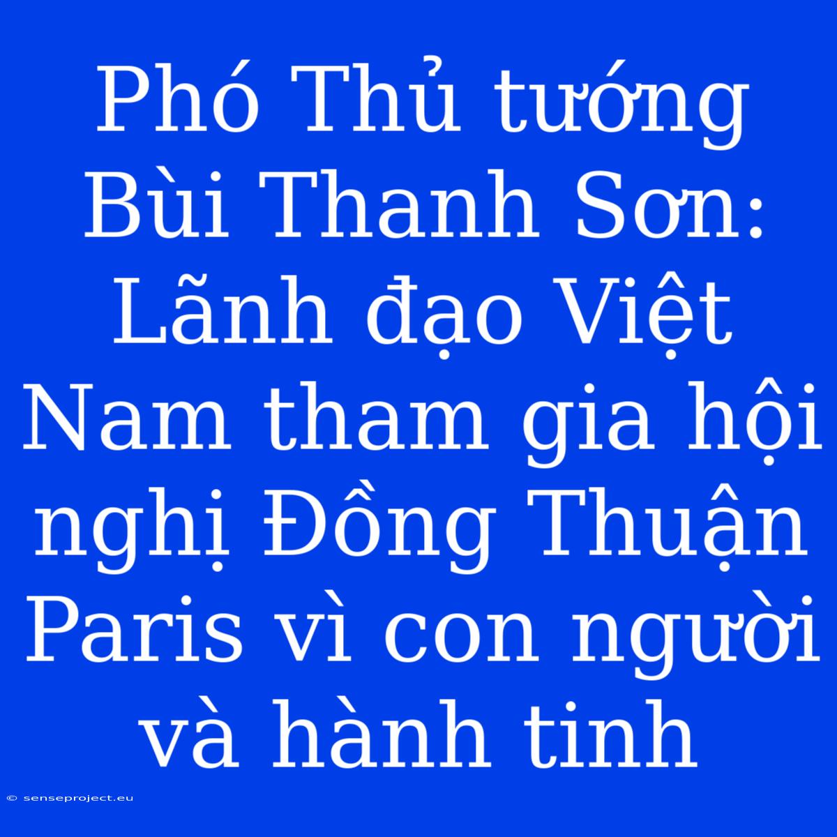 Phó Thủ Tướng Bùi Thanh Sơn: Lãnh Đạo Việt Nam Tham Gia Hội Nghị Đồng Thuận Paris Vì Con Người Và Hành Tinh