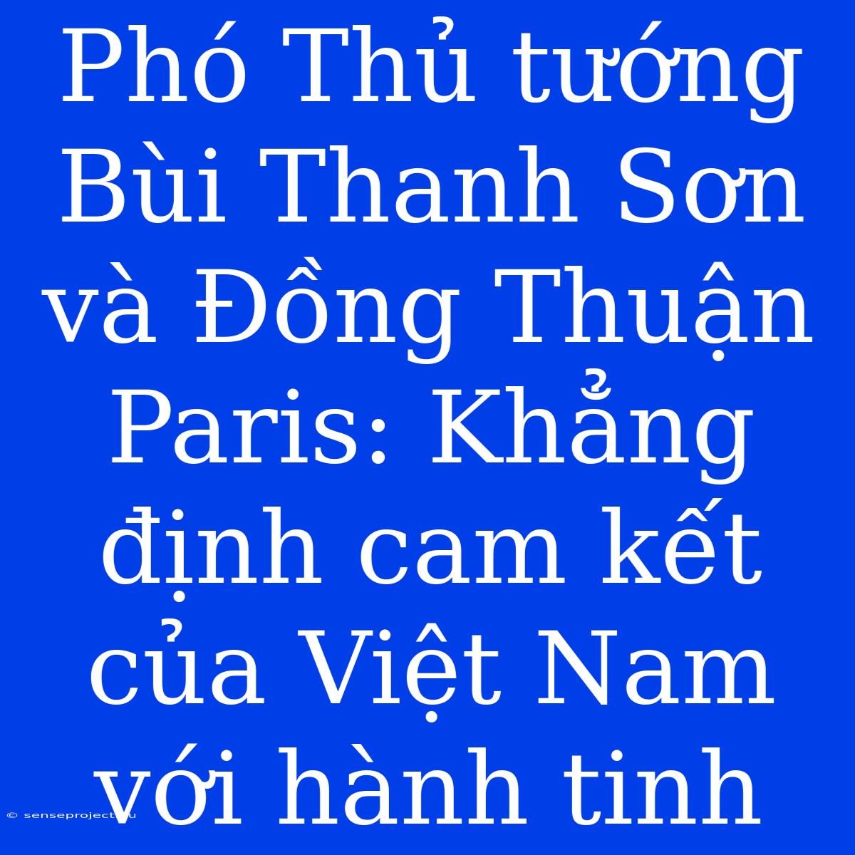 Phó Thủ Tướng Bùi Thanh Sơn Và Đồng Thuận Paris: Khẳng Định Cam Kết Của Việt Nam Với Hành Tinh