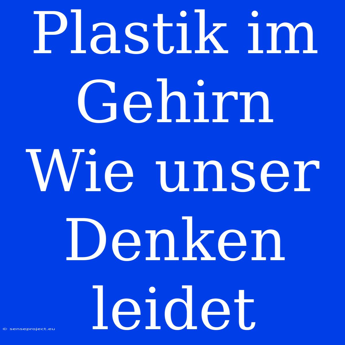 Plastik Im Gehirn  Wie Unser Denken Leidet