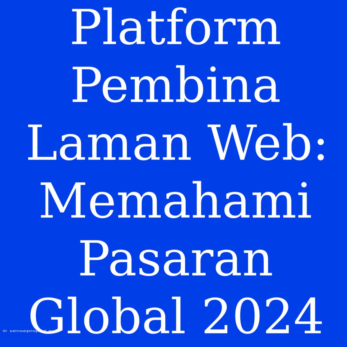 Platform Pembina Laman Web: Memahami Pasaran Global 2024