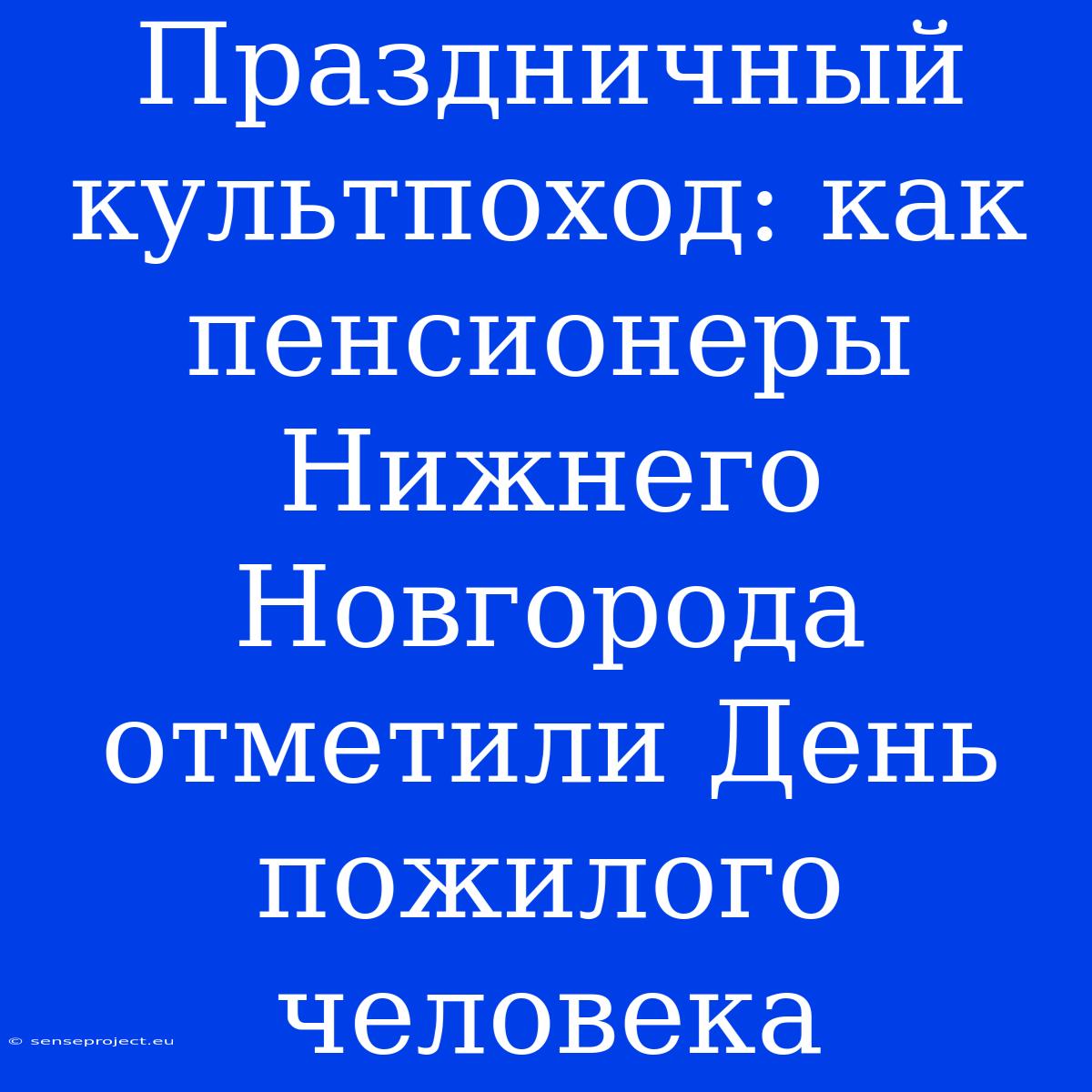 Праздничный Культпоход: Как Пенсионеры Нижнего Новгорода Отметили День Пожилого Человека