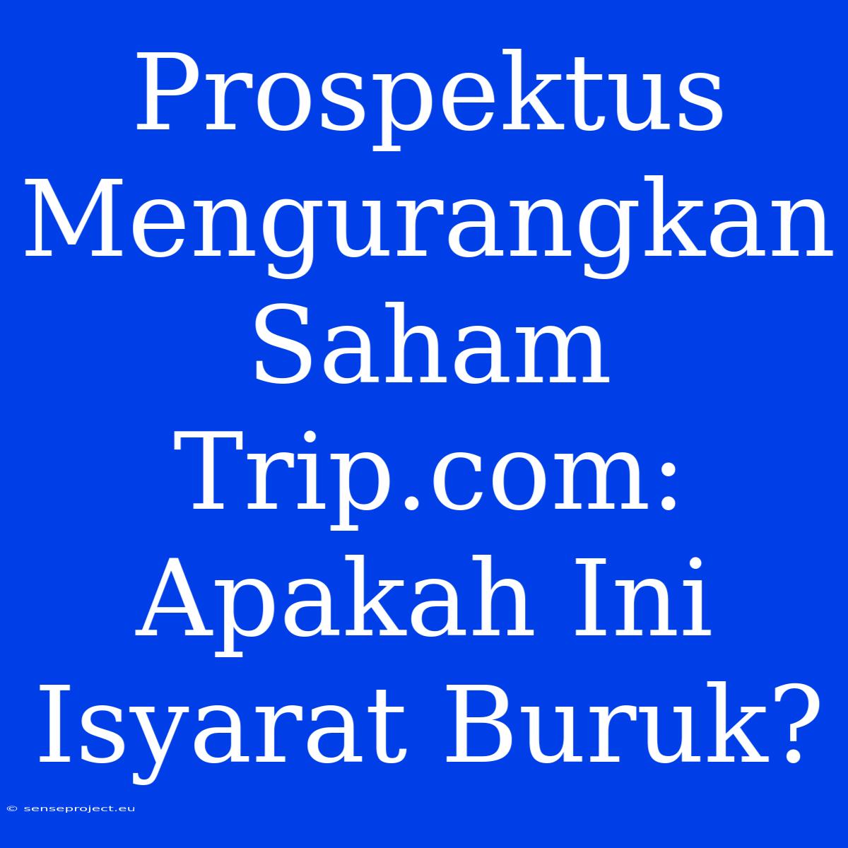 Prospektus Mengurangkan Saham Trip.com: Apakah Ini Isyarat Buruk?