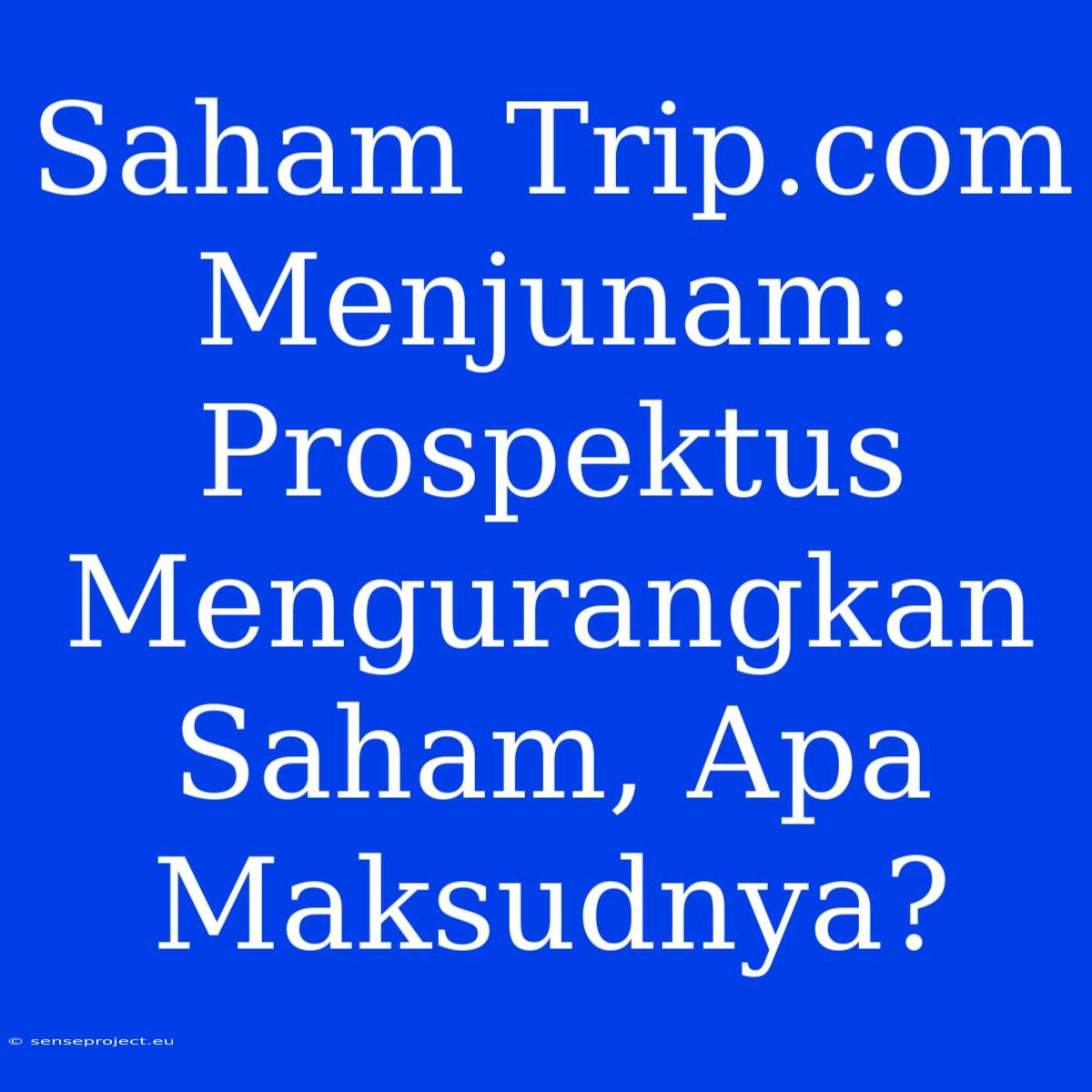 Saham Trip.com Menjunam: Prospektus Mengurangkan Saham, Apa Maksudnya?