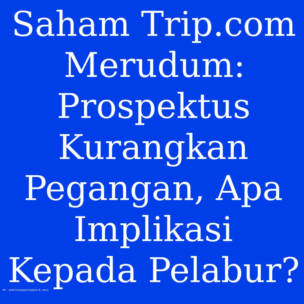 Saham Trip.com Merudum: Prospektus Kurangkan Pegangan, Apa Implikasi Kepada Pelabur?