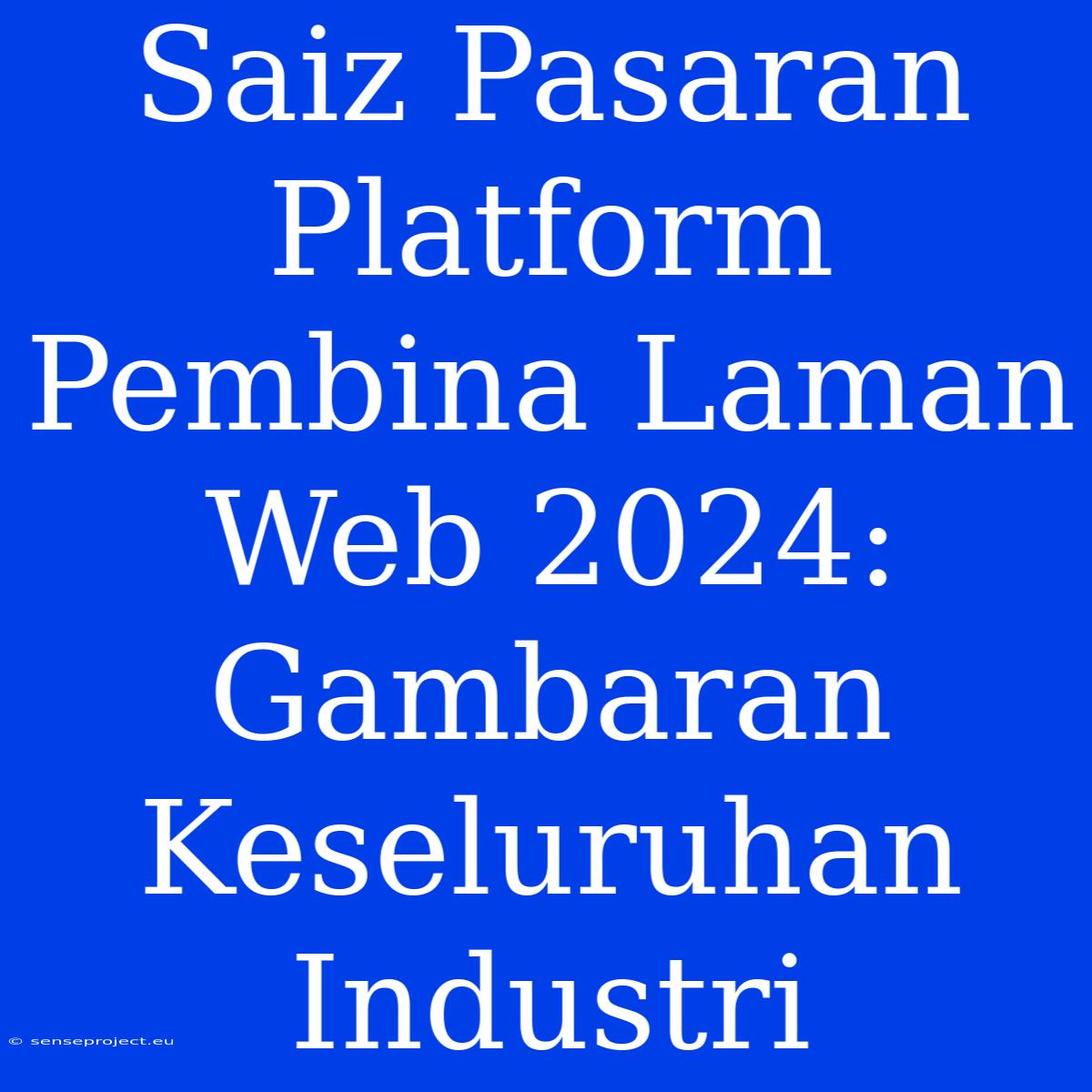 Saiz Pasaran Platform Pembina Laman Web 2024: Gambaran Keseluruhan Industri