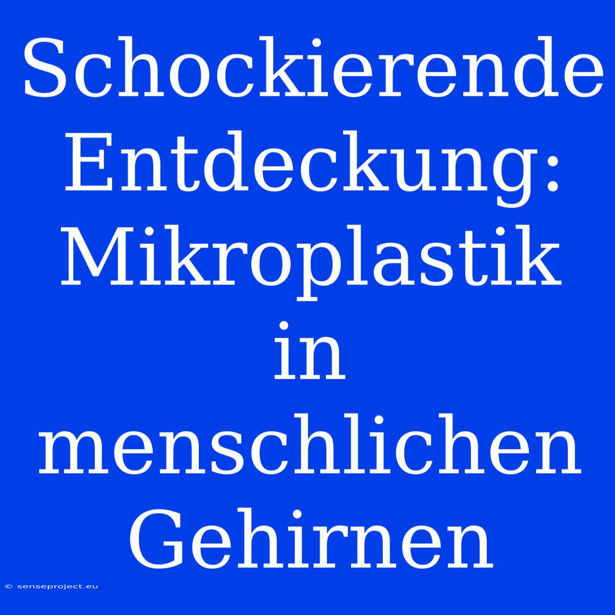 Schockierende Entdeckung: Mikroplastik In Menschlichen Gehirnen