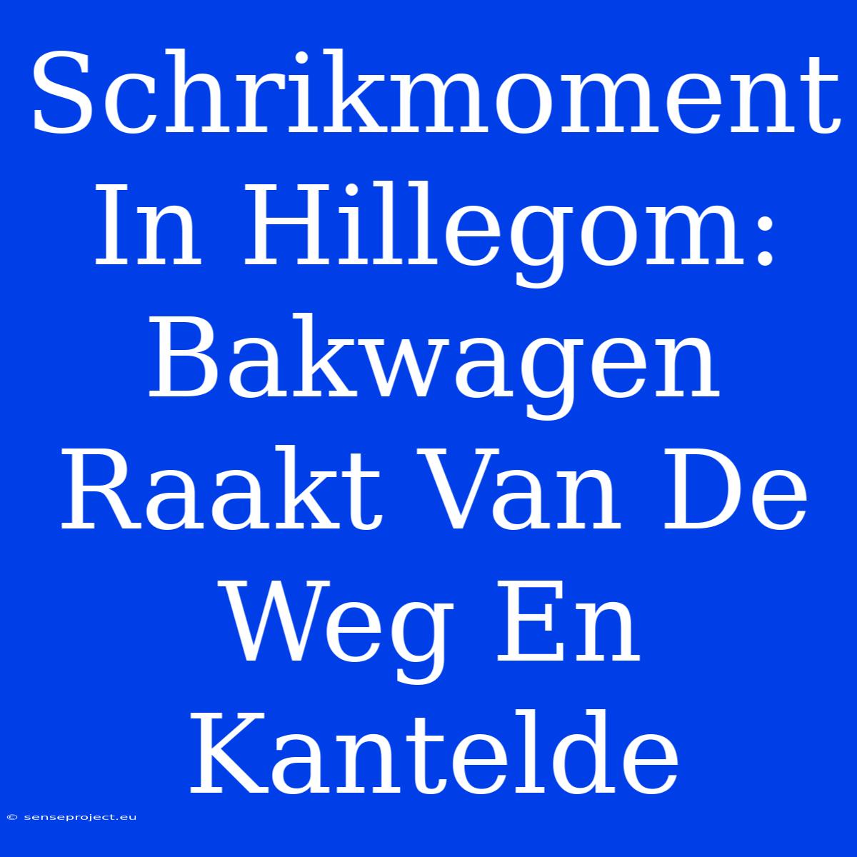 Schrikmoment In Hillegom: Bakwagen Raakt Van De Weg En Kantelde