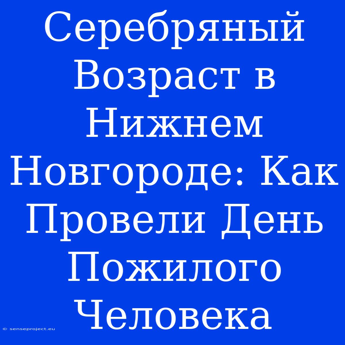 Серебряный Возраст В Нижнем Новгороде: Как Провели День Пожилого Человека