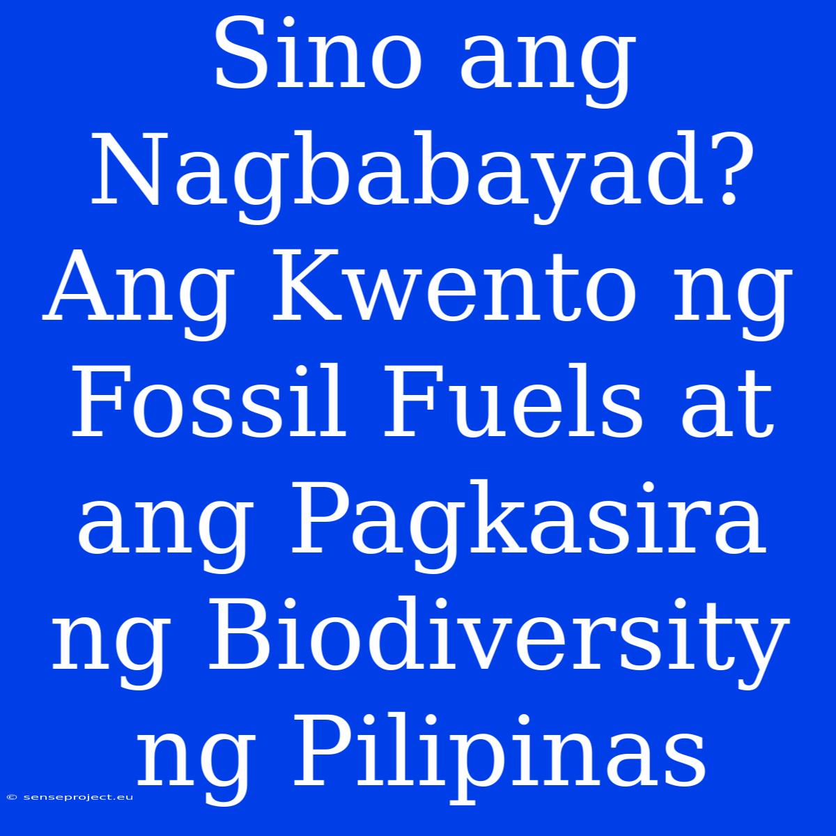 Sino Ang Nagbabayad? Ang Kwento Ng Fossil Fuels At Ang Pagkasira Ng Biodiversity Ng Pilipinas