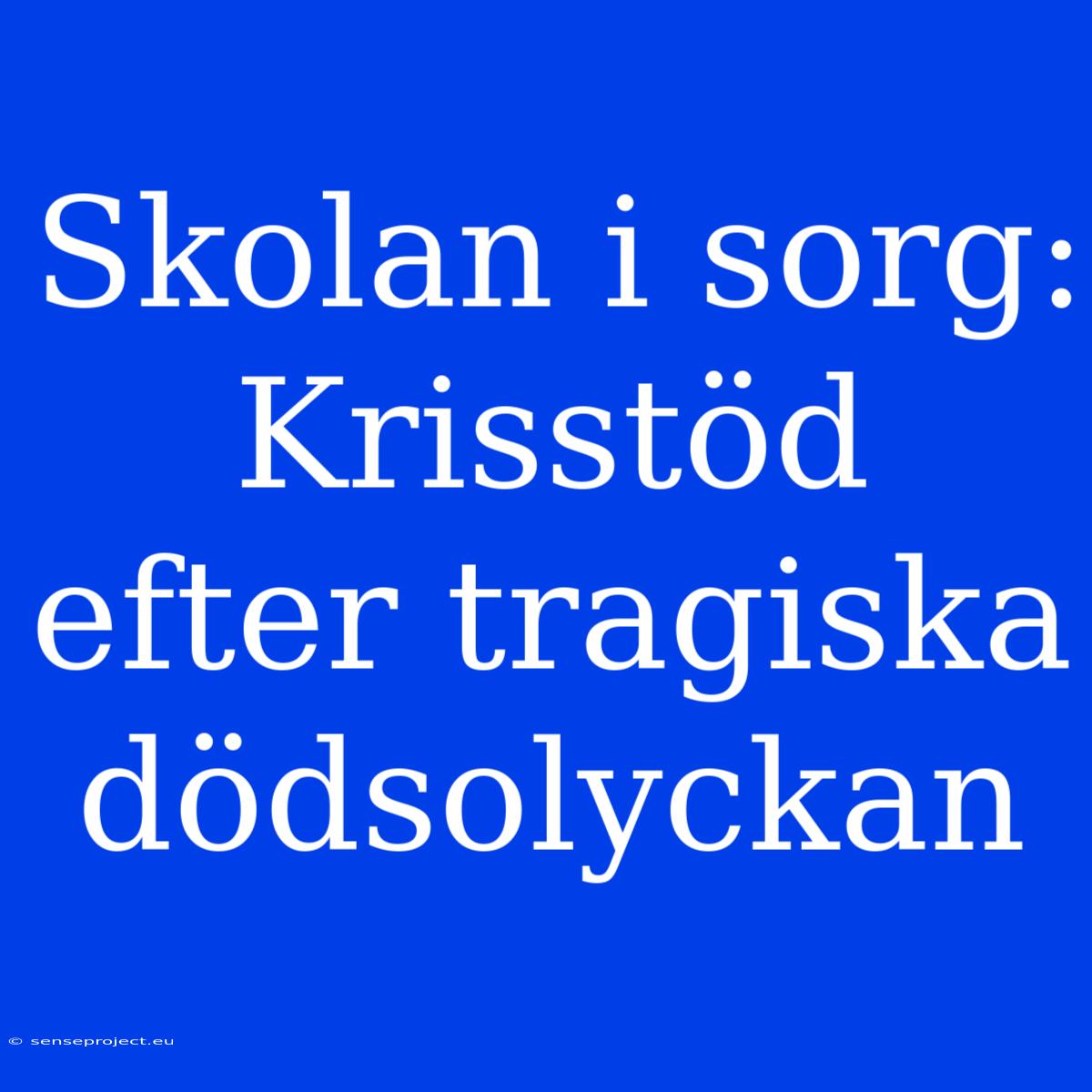 Skolan I Sorg: Krisstöd Efter Tragiska Dödsolyckan