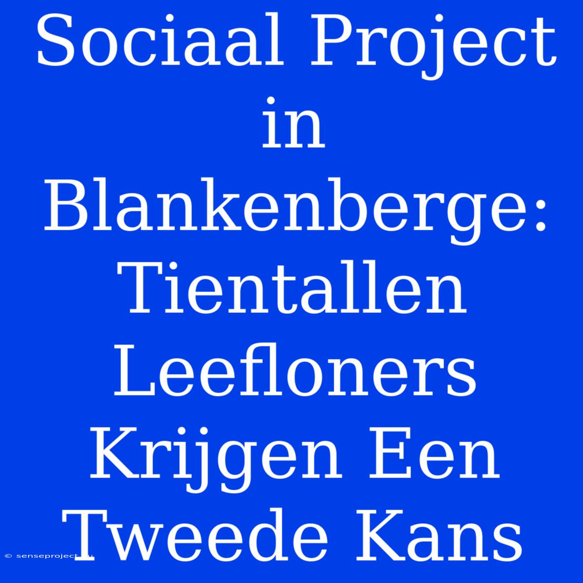 Sociaal Project In Blankenberge: Tientallen Leefloners Krijgen Een Tweede Kans