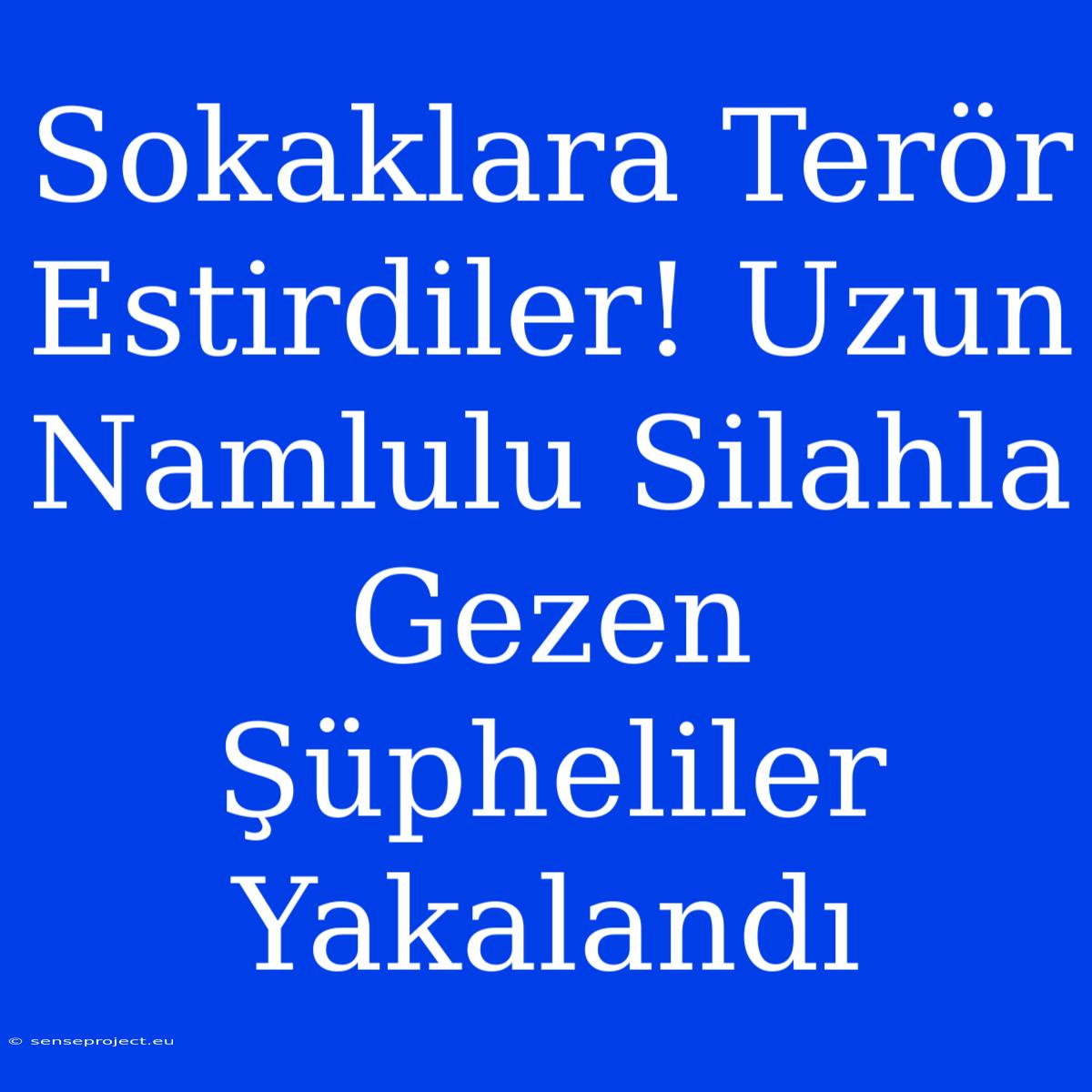 Sokaklara Terör Estirdiler! Uzun Namlulu Silahla Gezen Şüpheliler Yakalandı