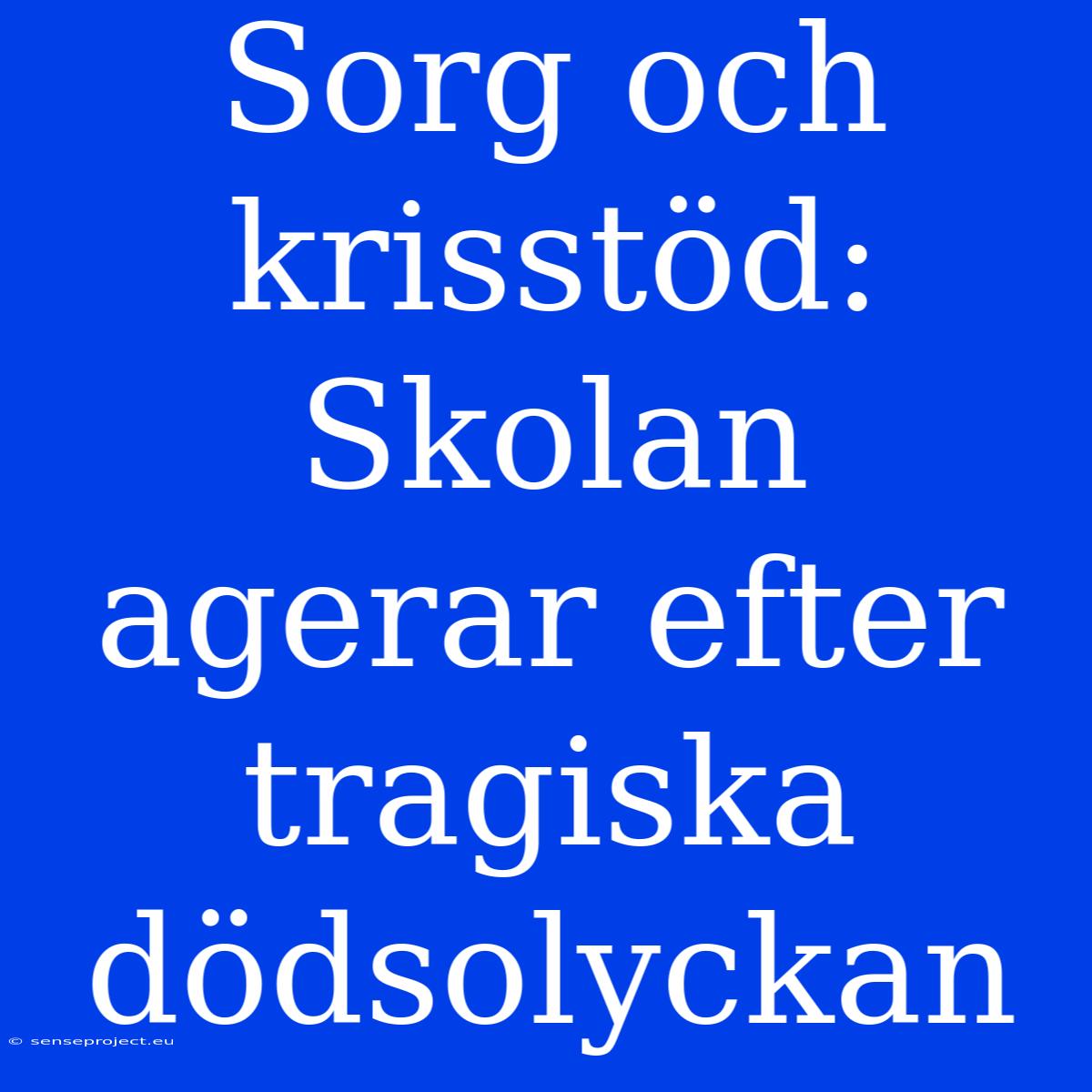 Sorg Och Krisstöd: Skolan Agerar Efter Tragiska Dödsolyckan