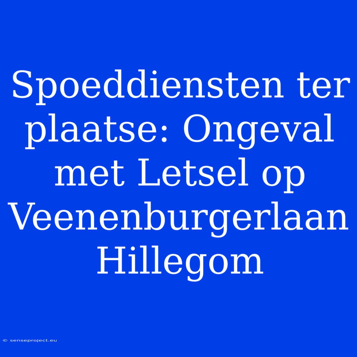 Spoeddiensten Ter Plaatse: Ongeval Met Letsel Op Veenenburgerlaan Hillegom